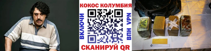 Купить закладки  Переславль-Залесский  COCAIN Fish Scale 