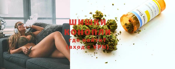 PSILOCYBIN Майский