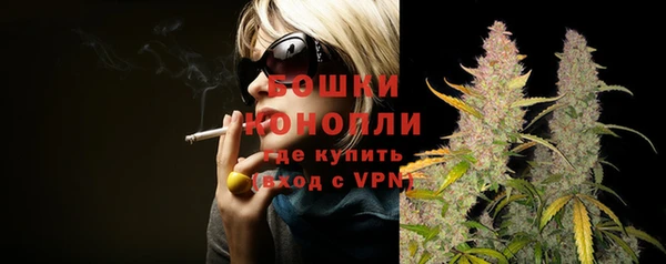 стаф Липки