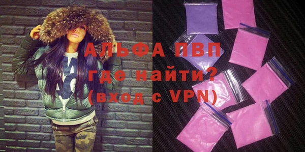 PSILOCYBIN Майский