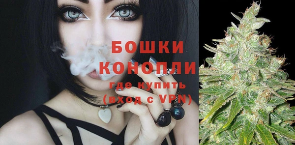 стаф Липки