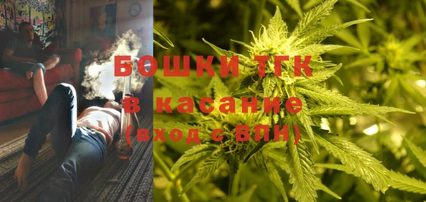 PSILOCYBIN Майский