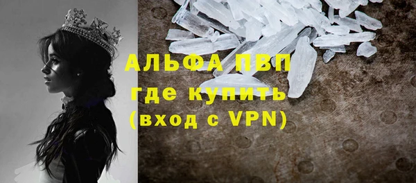 PSILOCYBIN Майский