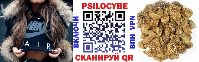Купить где  Переславль-Залесский  Галлюциногенные грибы Magic Shrooms 