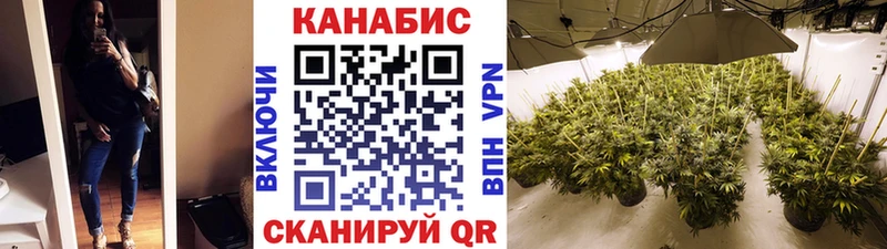 Купить где  Переславль-Залесский  Каннабис ГИДРОПОН 